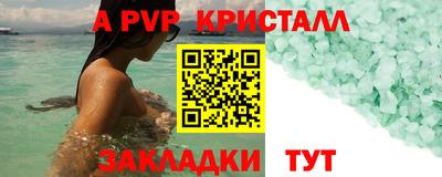 твердый Гусев
