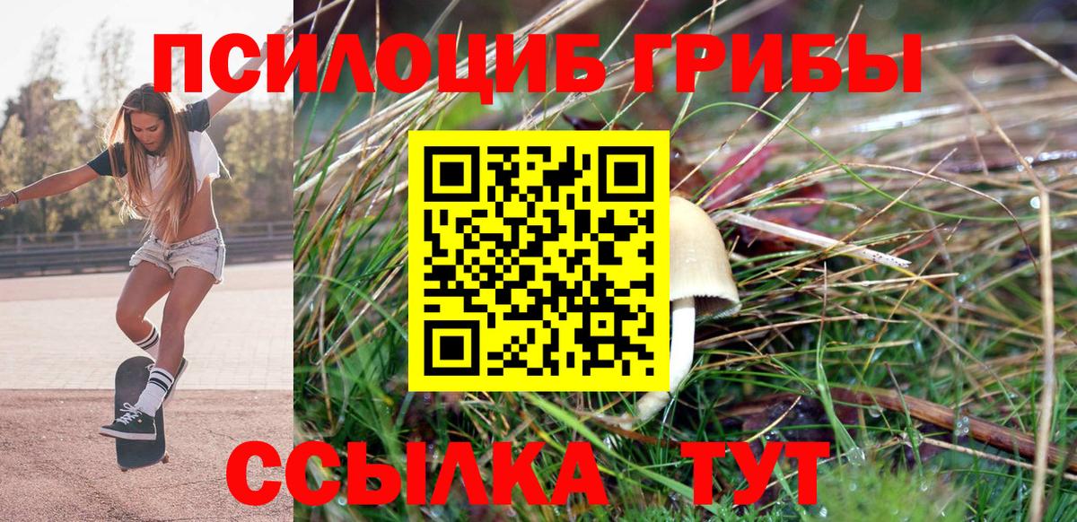 Галлюциногенные грибы ЛСД  Вход с VPN  где можно купить наркотик  Можайск 
