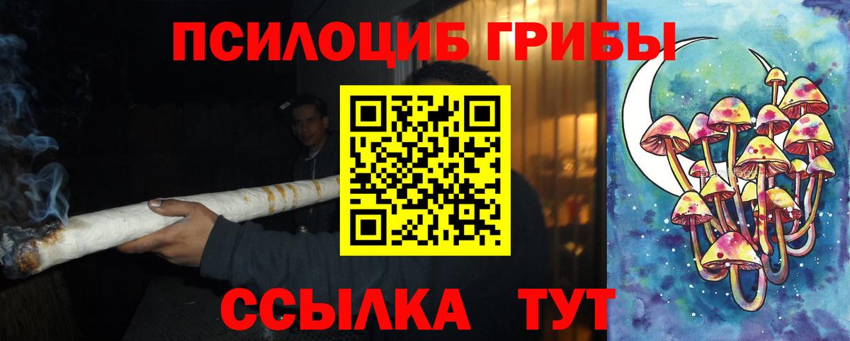 Псилоцибиновые грибы мицелий Можайск